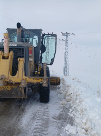 Erzurum ve Kars'ta kar yağışı nedeniyle 66 yerleşim yerinin yolu kapandı