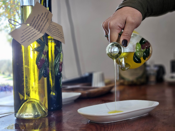 Dünyanın en sağlıklı zeytinyağının litresi 1500 TL