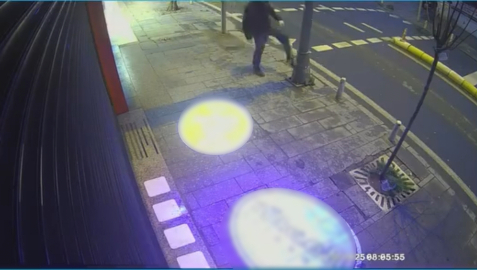 İstanbul - Kağıthane’de direkleri tekmeleyen kişi kaldırımdaki ağaçlara da zarar verdi