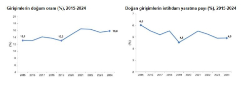 TÜİK: 2024'te kurulan girişimlerin istihdam yaratma payı yüzde 4,9 oldu