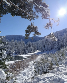 Sarıçiçek Göleti buz tuttu