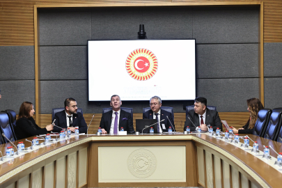 Dünya Engelliler Birliği Başkanı Şentürk: Hayatı kolaylaştıran yegane unsurun bakış açısı olduğuna inandım