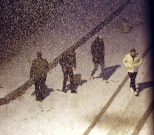 Van'da kar yağışı etkili oldu