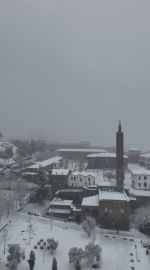 Doğu ve Güneydoğu’da kar etkili oldu (3)