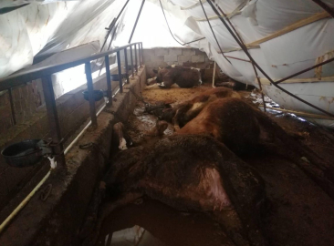 Karabük'te kar kalınlığı 60 santimetreye ulaştı; eğitime kar engeli (2)