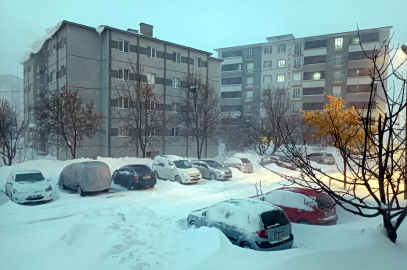 Bitlis'te yüksek gerilim hattında zorlu kış mesaisi (2)