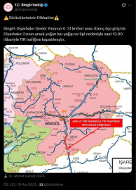 Bingöl'de kar yağışı; 100 köy yolu ulaşıma kapandı (3)