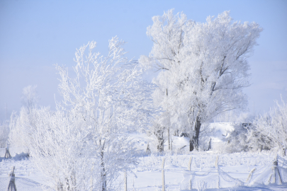 Sivas buz kesti; 227 yerleşim yeri yolu kapalı