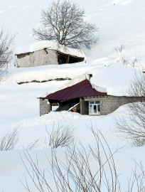 Hakkari’de çığ düştü: 8 boş ev ve 2 ahır zarar gördü, 120 küçükbaş öldü