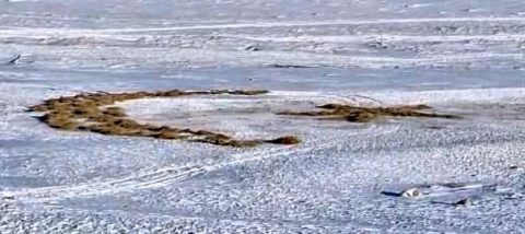 Karla kaplı arazide ay yıldız oluşturdu