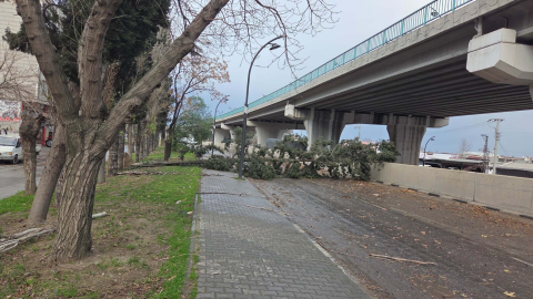 Manisa'da kuvvetli rüzgar nedeniyle çatılar uçtu, ağaçlar devrildi; 1 yaralı / Ek fotoğraflar