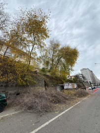 Samsun'da fırtına; ağaçlar devrildi / Ek fotoğraflar