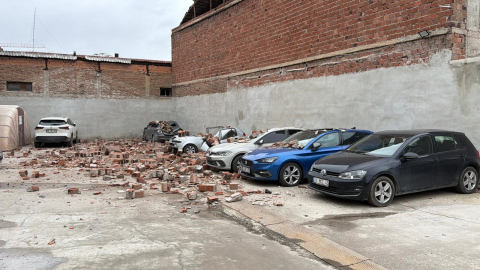 Eskişehir'de kuvvetli rüzgar ağaçları devirdi (2)