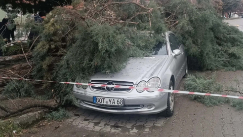 Gediz'de fırtına; ağaçlar devrildi, bina dış cephe kaplamaları söküldü