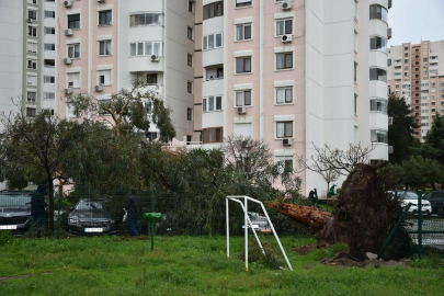 İzmir'de sağanak etkili oldu (3)