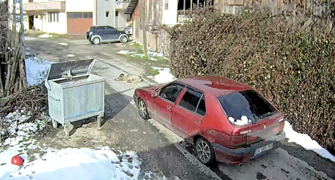 Yolda yatarken otomobilin ezdiği köpeğin, daha önce tüfekle de vurulduğu ortaya çıktı