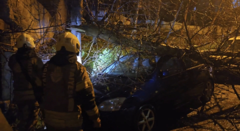 İstanbul- Beykoz'da fırtınada devrilen ağaç 2 otomobilin üzerine düştü