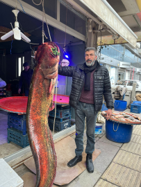 Çayırhan Gölü'nde balıkçı ağlarına 2 metrelik yayın balığı takıldı