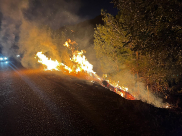 Yol kenarında çıkan yangın, ormana sıçradı