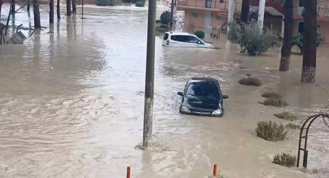 Aydın'da sağanak etkili oldu (2)