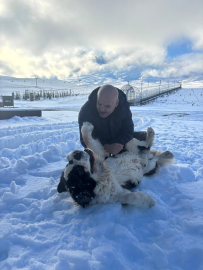 'Pastırma' ve 'Sucuk' isimli köpekler, Erciyes'in maskotu oldu / Ek fotoğraflar