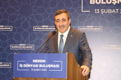 Cumhurbaşkanı Yardımcısı Yılmaz: Yükseköğretimde köklü bir dönüşüm gerçekleştirdik (3)