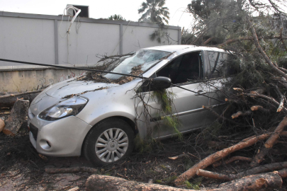 İzmir’de kuvvetli rüzgarda park halindeki otomobilin üzerine ağaç devirdi