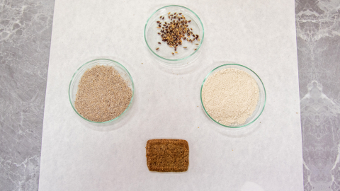 Selçuk Üniversitesi'nde Alzheimer, diyabet ve kansere karşı renkli buğdaylardan bisküvi üretildi