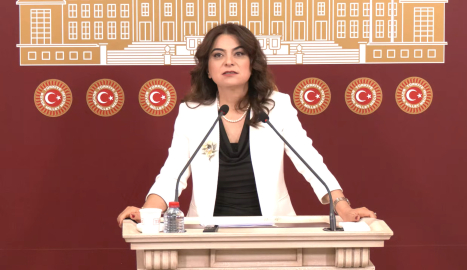 DEM Parti'li Koçyiğit: Türkiye'nin geleceği için rapor önemli bir eşik olacak