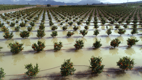 Kuraklık tehlikesi ile karşı karşıya kalan Adana'da barajlar doldu taştı/Ek fotoğraflar