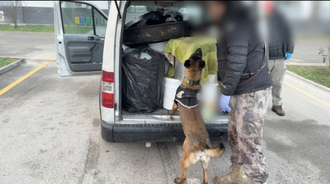 Kızartma yağlarının içine zulalanmış 45 kilo uyuşturucuyu 'Hector' buldu