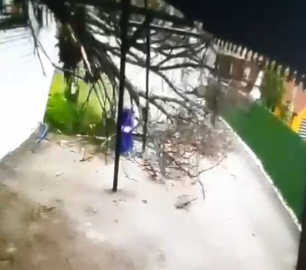 Devrilen ağacın altında kalmaktan son anda kurtuldu