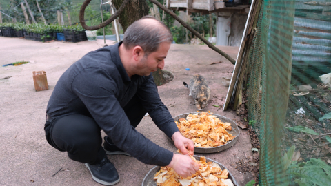 Babadan kalan 'anlamlı miras'; lokantada artan yiyecekleri sokak kedilerine götürüyor