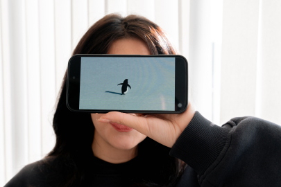 'Nihilist penguen'e kendi yalnızlığımızı yükledik'