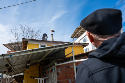 Yaren leyleğin eşi Nazlı geldi