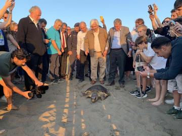 Caretta caretta 'Cumhuriyet'i 10 bin kişi izledi