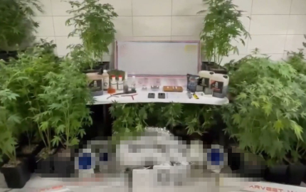 Bursa'da uyuşturucu operasyonu: 1 gözaltı