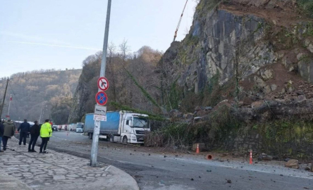 Artvin'de heyelan; TIR hasar gördü