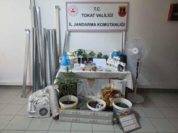 Evdeki 'kenevir serası'na jandarma baskını; 2 gözaltı