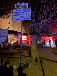 Aydın’da müstakil evde çıkan yangın söndürüldü