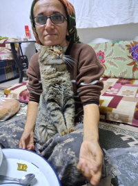 Yeğenini bıçaklayıp öldürdü, araya giren kardeşi ile damadını ağır yaraladı