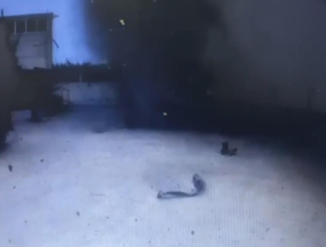 Tekirdağ'da yağ fabrikasındaki patlamanın görüntüleri ortaya çıktı