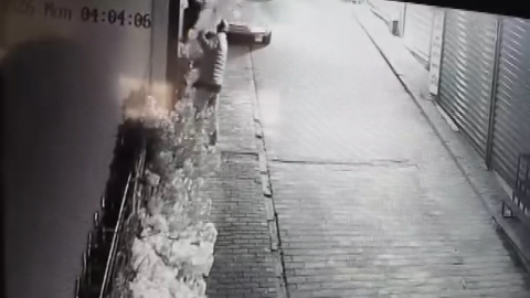 Camı açamayan hırsız, kapıdaki değerli süs ağacını söktü; o anlar kamerada