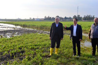 TZOB Genel Başkanı Bayraktar: Adana'da 36 bin 566 dönüm tarım alanı su altında kaldı