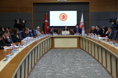 Komisyon Başkanı Durgut: Çocukların işlediği suçların yüzde 93,7'si adli nitelikte