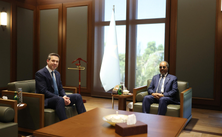 Enerji ve Tabii Kaynaklar Bakanı Alparslan Bayraktar, Somali'de