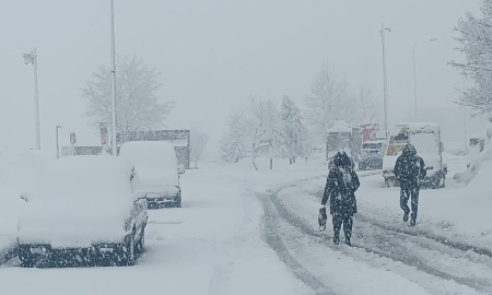 Bitlis'te 84 yerleşim yeri, ulaşıma kapandı
