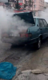 Ordu'da park halindeki otomobilde yangın