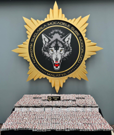 Malatya'da uyuşturucu operasyonuna 2 gözaltı