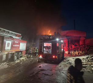 Edirne'de kereste fabrikasında yangın (2)